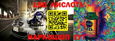 трава Сланцы