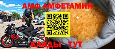 трава Сланцы